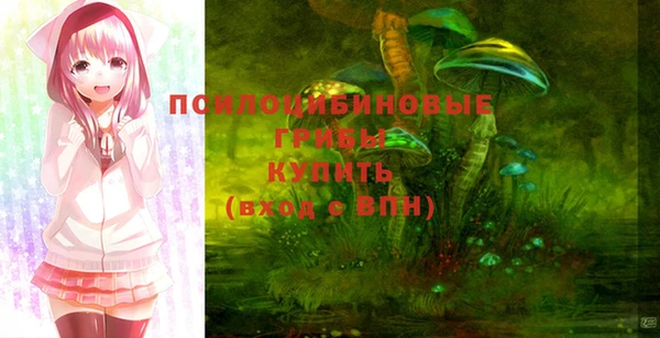 ешки Красноперекопск
